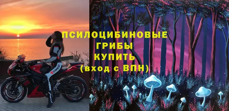 закладки  Муравленко  маркетплейс состав  Псилоцибиновые грибы Psilocybe 